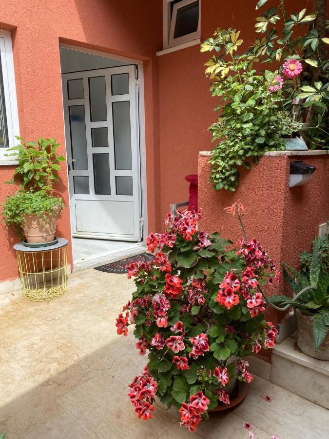 Apartments Zala Matusan Супетарська Драґа Екстер'єр фото
